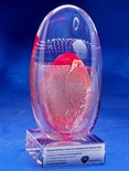 gbh03_crystal-trophy-blown-glass-gsk.jpg