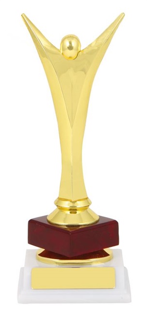 get303_sports-trophies.jpg