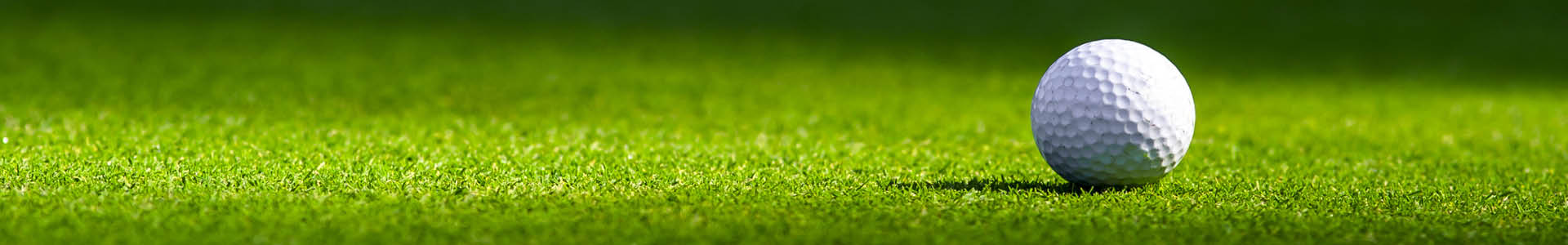 Golf Trophies Specialists Golf Trophies Specialists