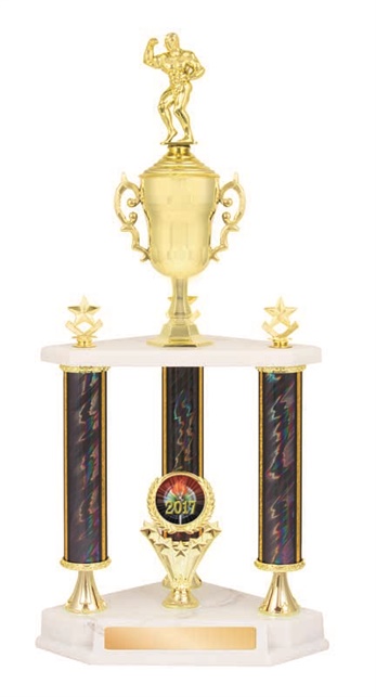 gtg800_discount-general-sports-trophies.jpg