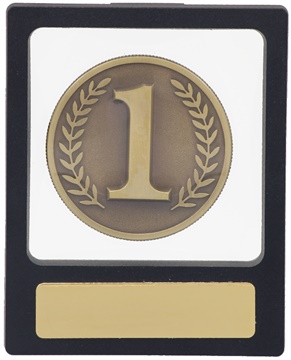 h11_discount-medal-cases.jpg