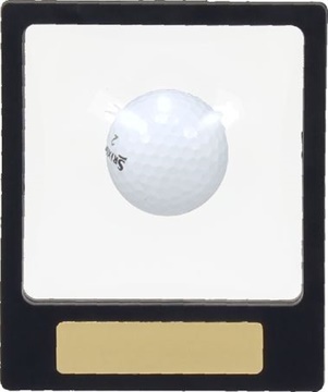 h13_golf-trophies.jpg