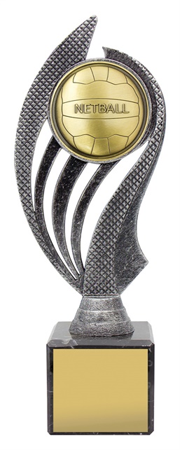 hy991a_discount-netball-trophies.jpg