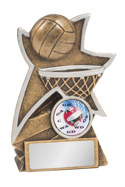 jw9553a-_-110mm-discount-netball-trophies.jpg