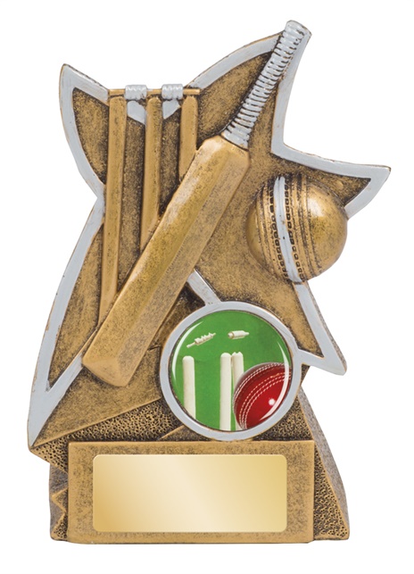 jw9564a_110mm_discounted-cricket-trophies.jpg