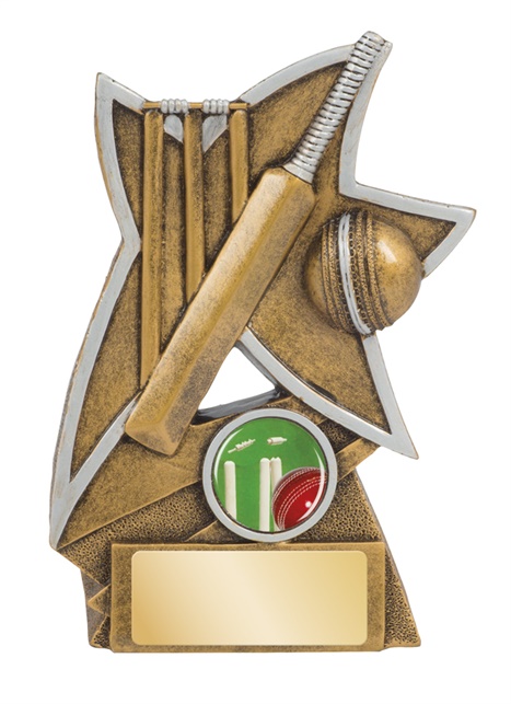 jw9564a_110mm_discounted-cricket-trophies.jpg