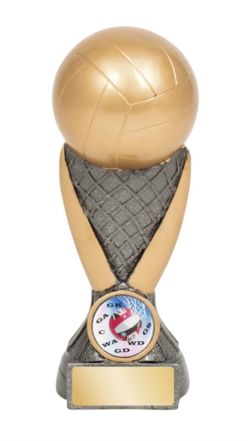 jw9653a-_-160mm-discount-netball-trophies.jpg