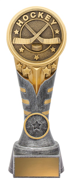 kn250a_discount-general-sports-trophies.jpg