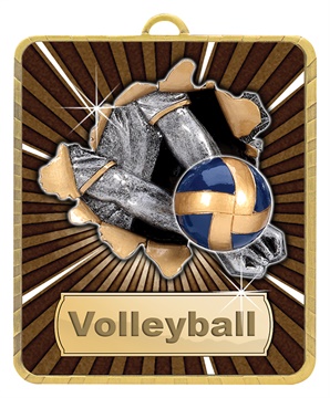 lm027g_discount-general-sports-trophies.jpg