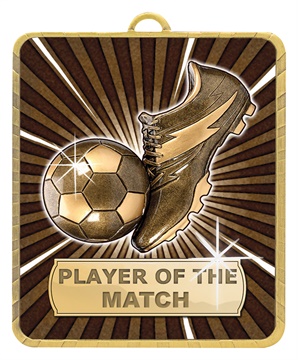 lm082g_discount-soccer-football-trophies.jpg