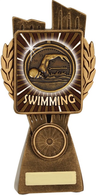 lr002a_discount-swimming-trophies.jpg