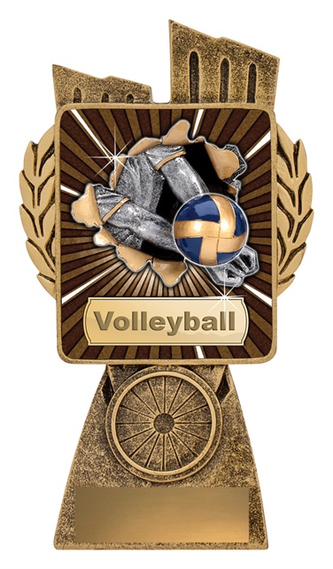 lr027a_discount-volleyball-trophies.jpg