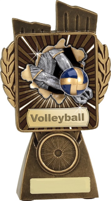 lr027a_discount-volleyball-trophies.jpg