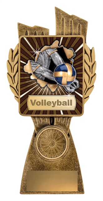 lr027a_discount-volleyball-trophies.jpg