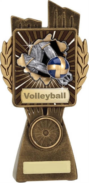lr027a_discount-volleyball-trophies.jpg