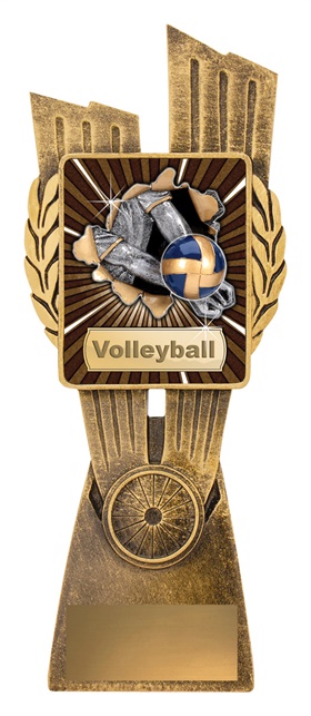 lr027a_discount-volleyball-trophies.jpg