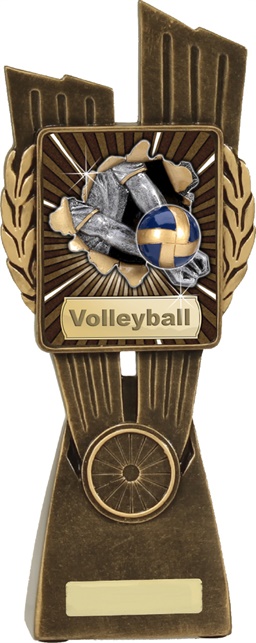 lr027a_discount-volleyball-trophies.jpg