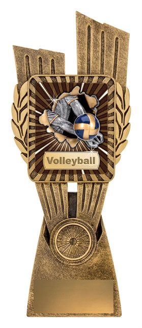 lr027a_discount-volleyball-trophies.jpg