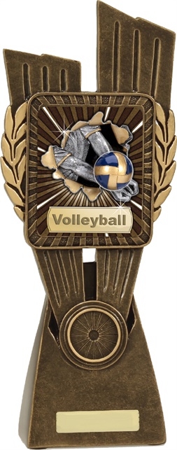 lr027a_discount-volleyball-trophies.jpg