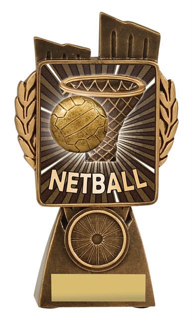 lr037a_discount-netball-trophies.jpg
