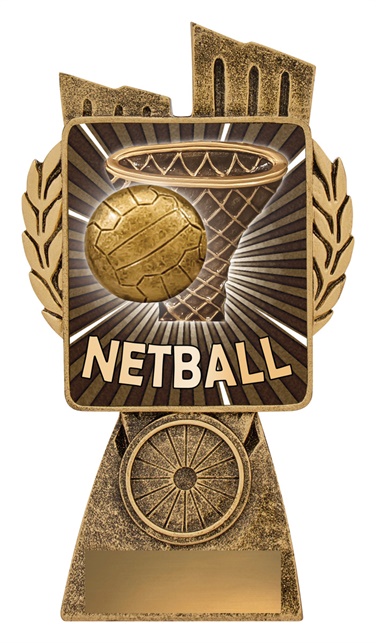 lr037a_discount-netball-trophies.jpg