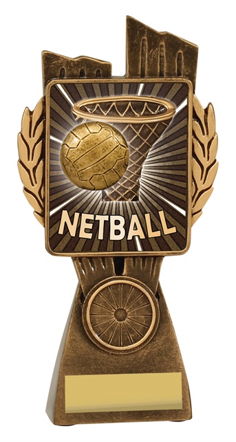 lr037a_discount-netball-trophies.jpg