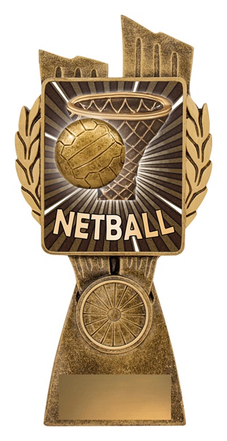 lr037a_discount-netball-trophies.jpg