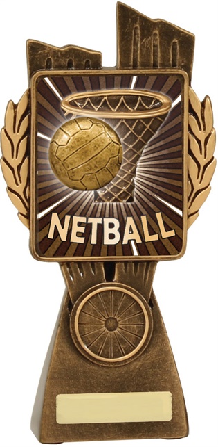 lr037a_discount-netball-trophies.jpg