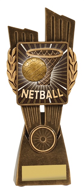 lr037a_discount-netball-trophies.jpg