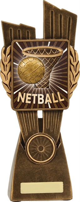lr037a_discount-netball-trophies.jpg