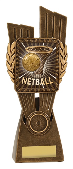 lr037a_discount-netball-trophies.jpg