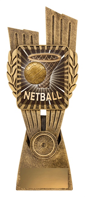 lr037a_discount-netball-trophies.jpg