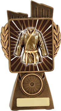 lr045a_discount-martial-arts-trophies.jpg