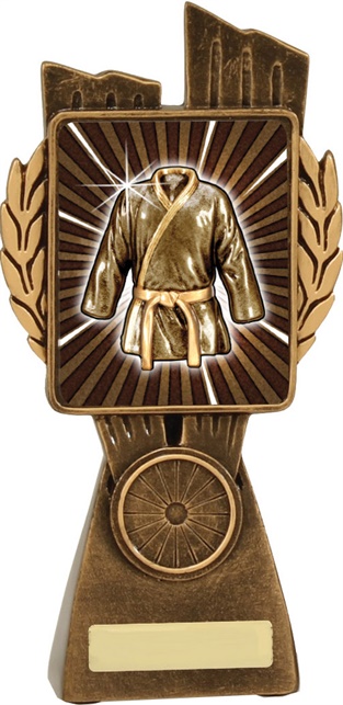 lr045a_discount-martial-arts-trophies.jpg