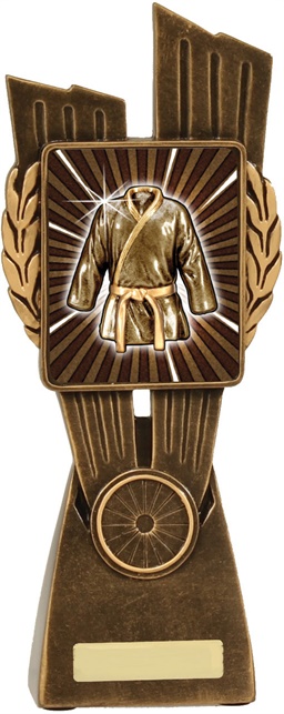 lr045a_discount-martial-arts-trophies.jpg