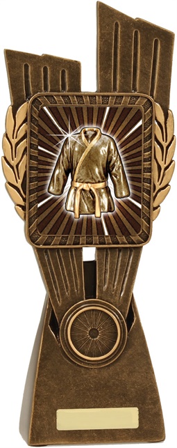 lr045a_discount-martial-arts-trophies.jpg