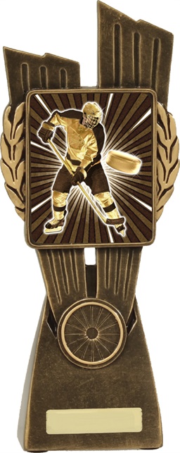 lr050a_discount-ice-hockey-trophies.jpg