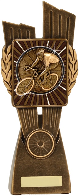 lr064a_discount-cycling-trophies.jpg