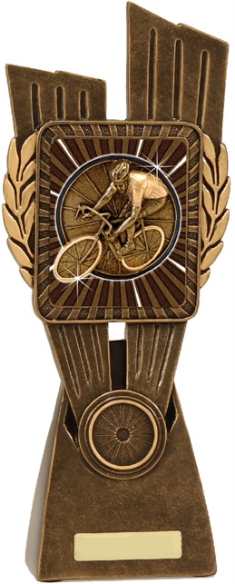 lr064a_discount-cycling-trophies.jpg
