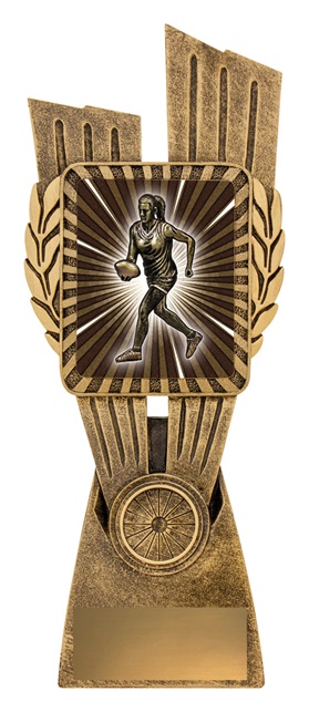 lr087a_discount-aussie-rules-afl-trophies.jpg