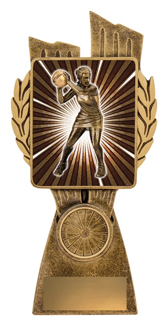 lr091a_discount-netball-trophies.jpg