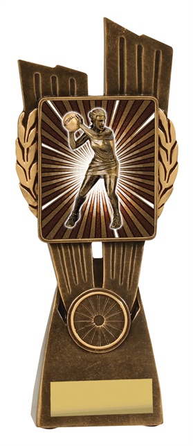 lr091a_discount-netball-trophies.jpg