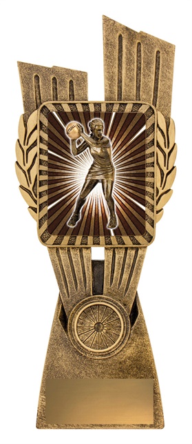 lr091a_discount-netball-trophies.jpg