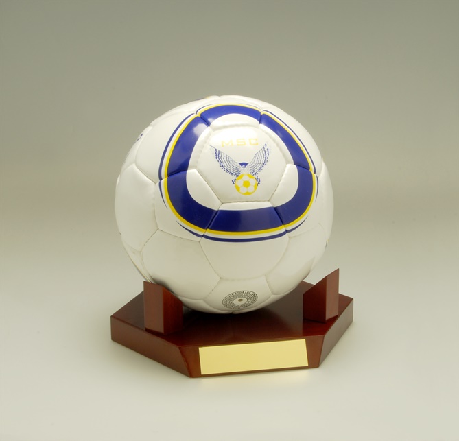 lrm_1-ball-mounts-soccer-ball.jpg