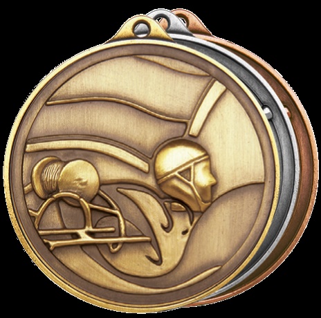 M2221_LifesavingMedal.jpg