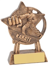 martial-arts-trophies.jpg