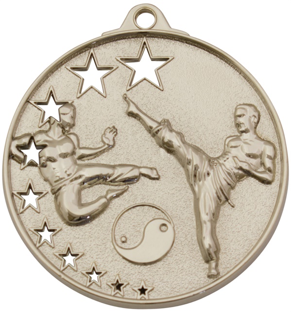 mh923g_martialartsmedals.jpg