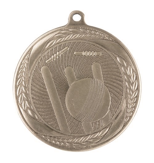 ms4064ag_discount-cricket-medals.jpg