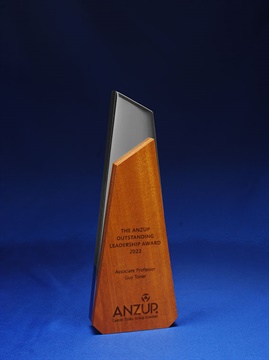 mwa1_240-contemporary-timber-on-metal-trophy.jpg