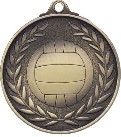 mx811g_netball-discount-medals.jpg